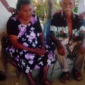 Meet your Posher, Rosa